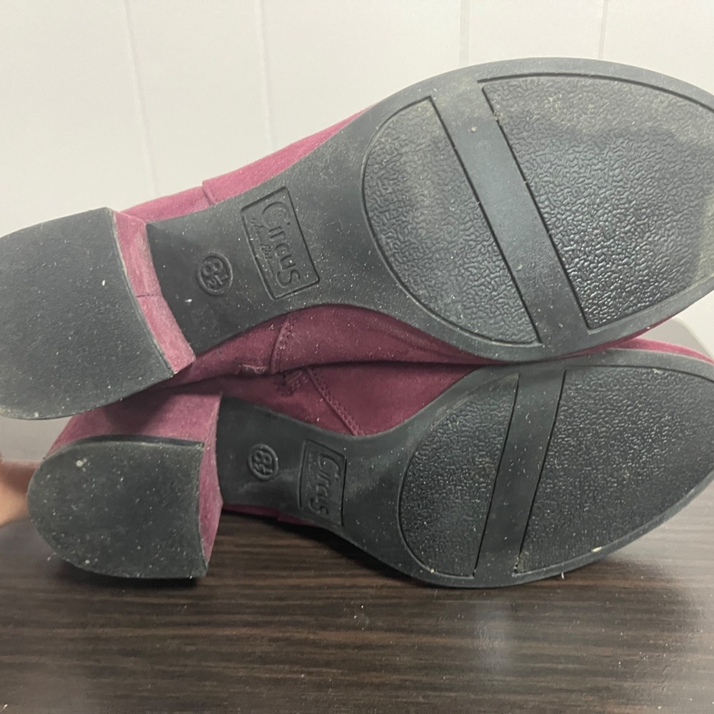 Circus By Sam Edelman booties - Picture 4 of 4